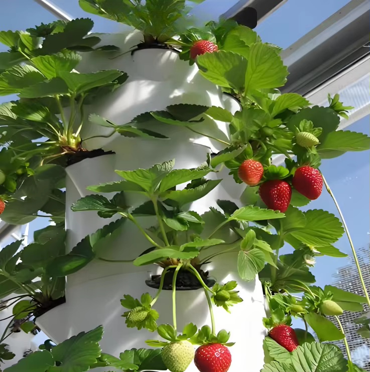 Système mural hydroponique mod - Urban Farming Wall avis et prix